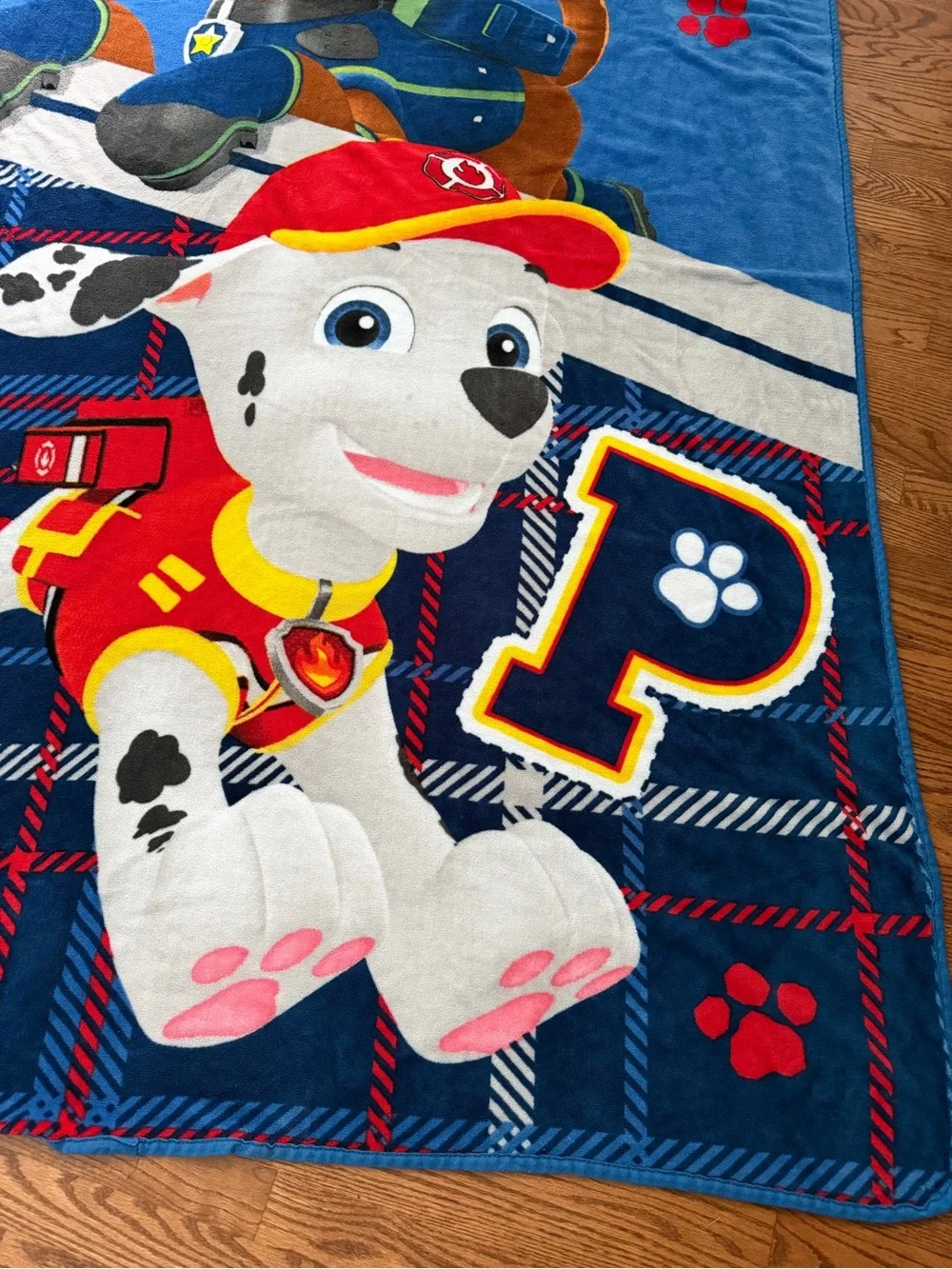 Paw Patrol plush paw